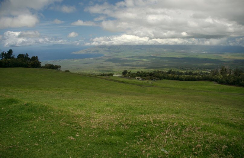 Polipoli Spring State Recreation Area, Hawaii, USA
